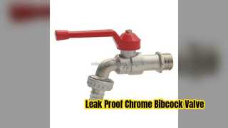 Heavy Duty Chrome Bibcock-klep voor keukenwaterregeling